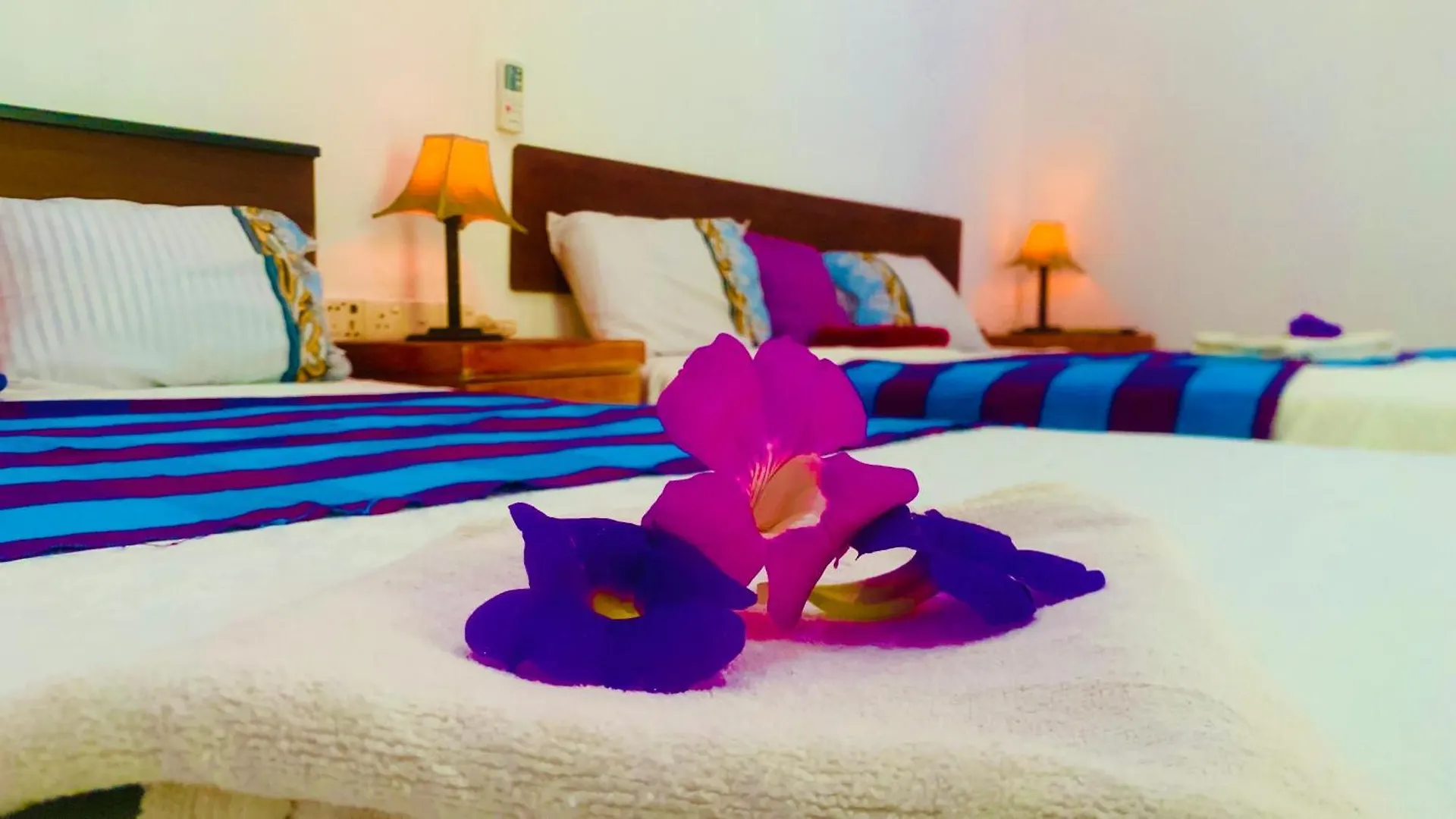 Rum i privatbostad Aloe Home Stay Sigiriya