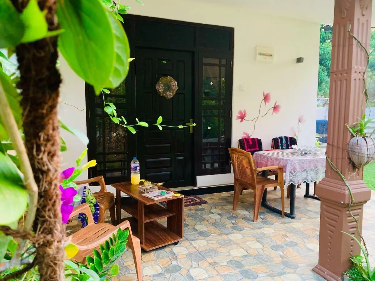 Aloe Home Stay Sigiriya